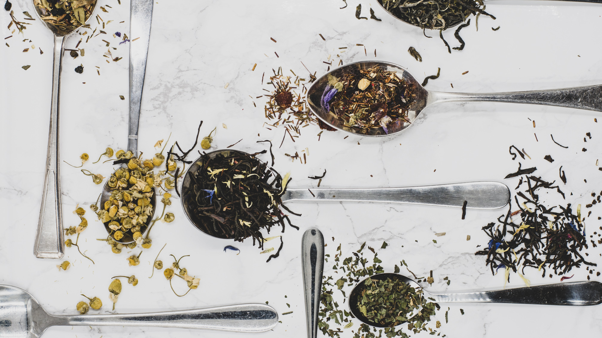 Stepping Outside the Traditions of Herbalism